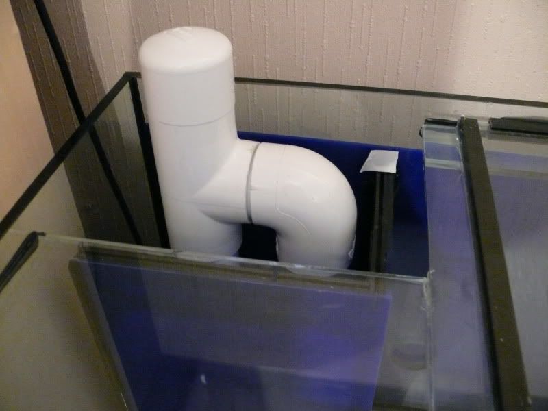 P1030042.jpg