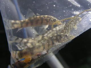 IMG007.jpg