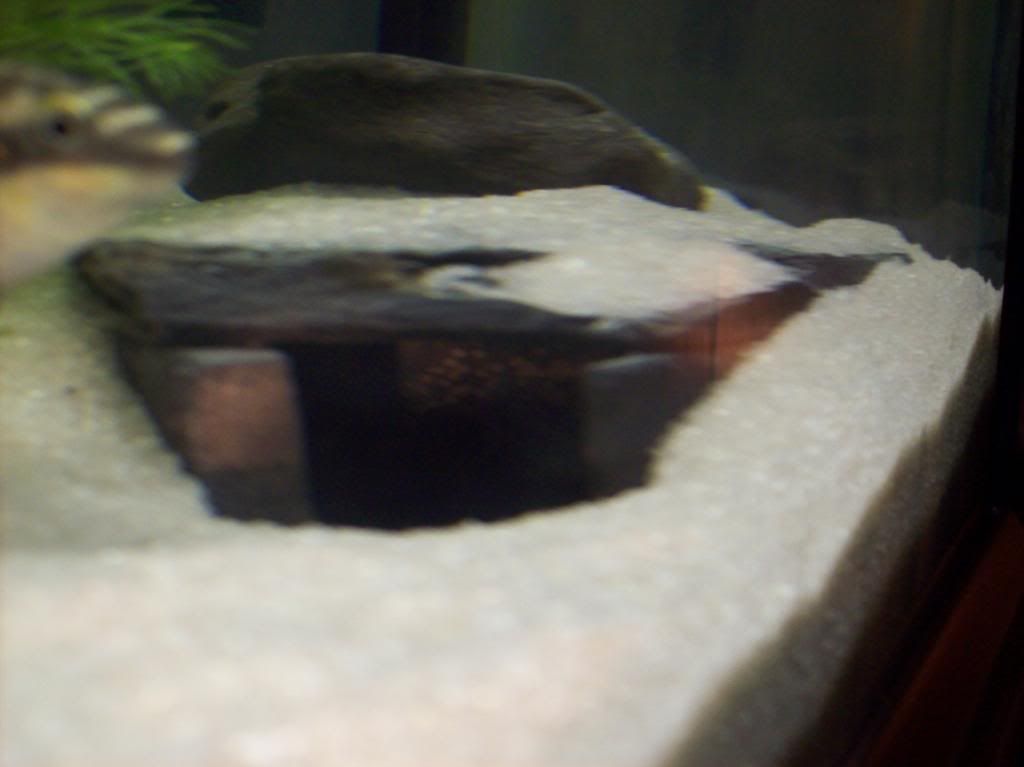 100_0565.jpg