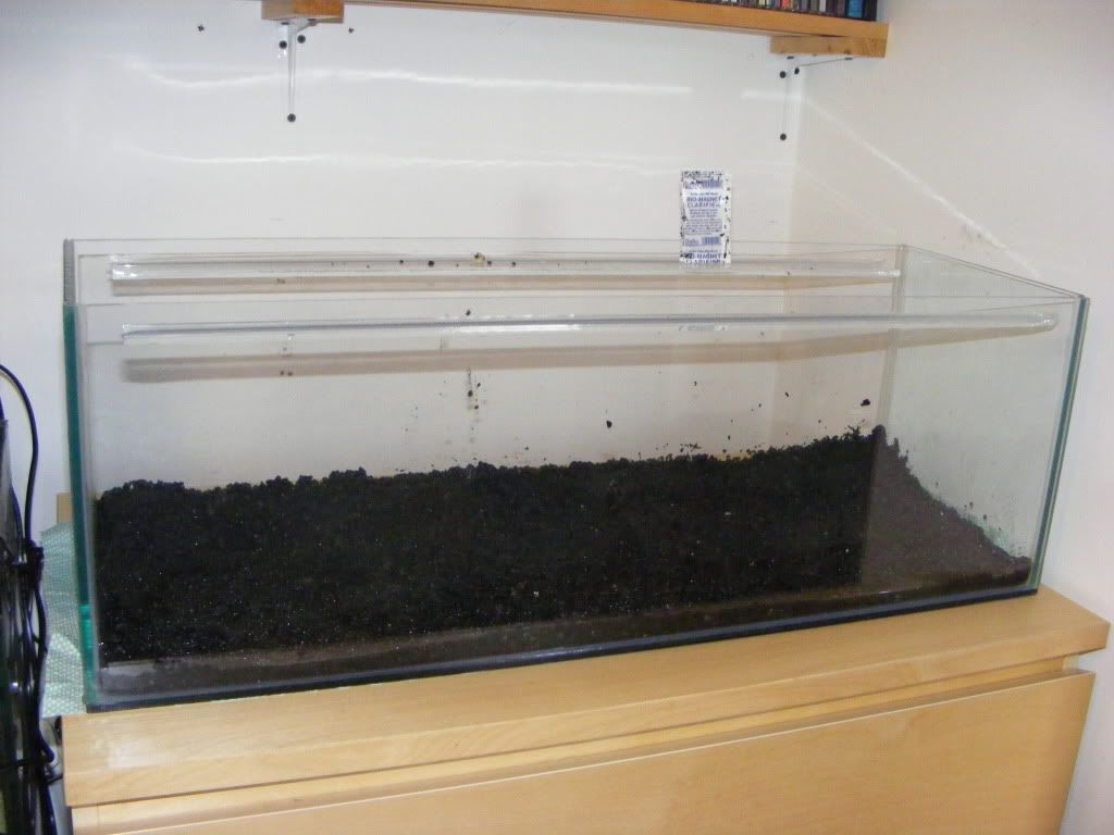 DSCF3141.jpg