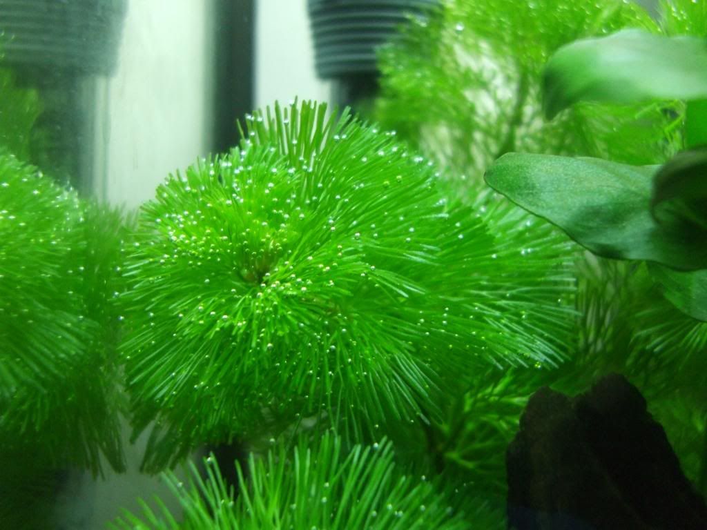 DSCF9790.jpg