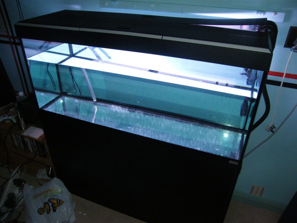 DSCF4568.jpg