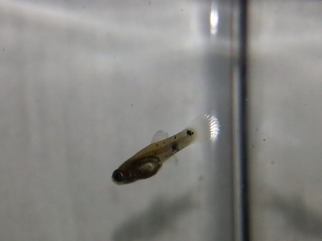 20130609_202931_zps7e2f0933.jpg