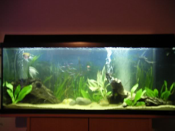tank3.jpg