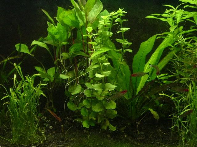 DSCF1589.jpg