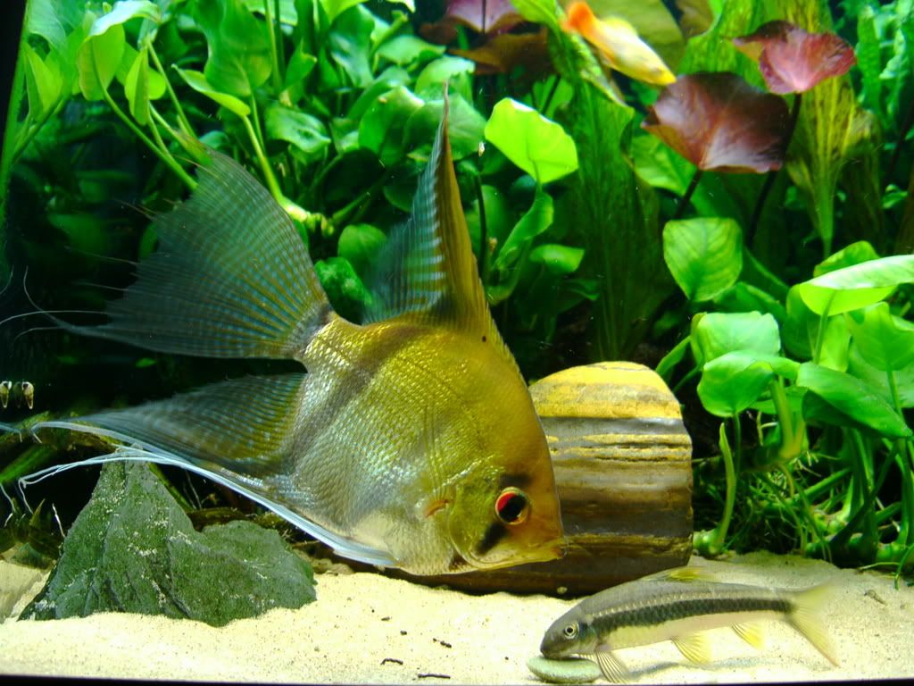 IMAG0027.jpg