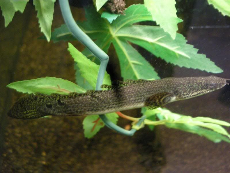 DSCN2216.jpg