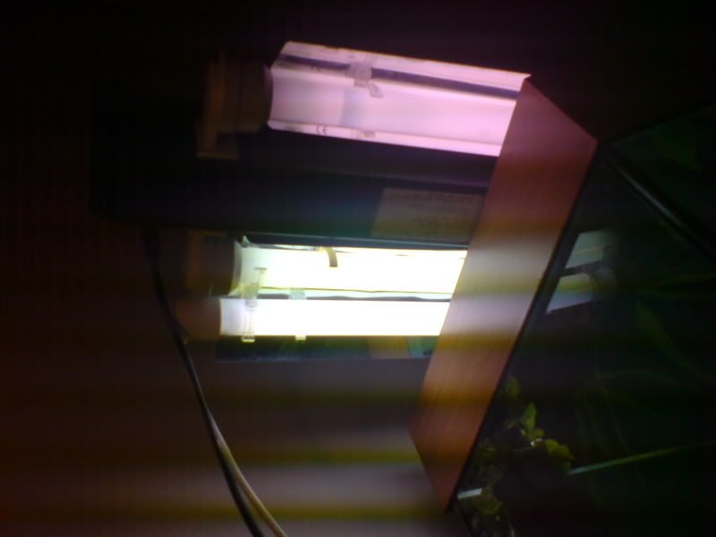 DSC00160.jpg