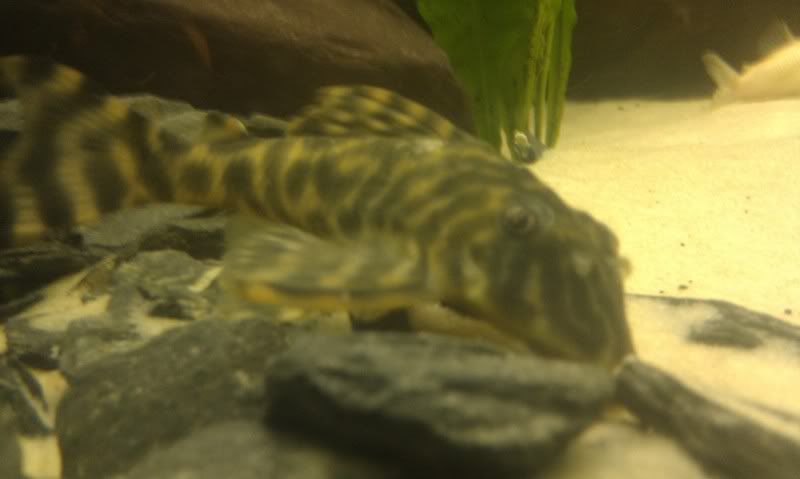 IMAG0755.jpg