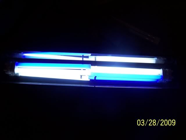 100_5080.jpg