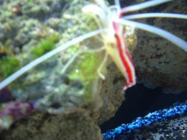 DSCF0317.jpg
