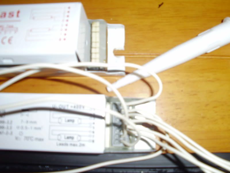 PC290287.jpg