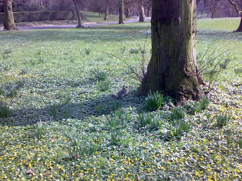 23032007217.jpg