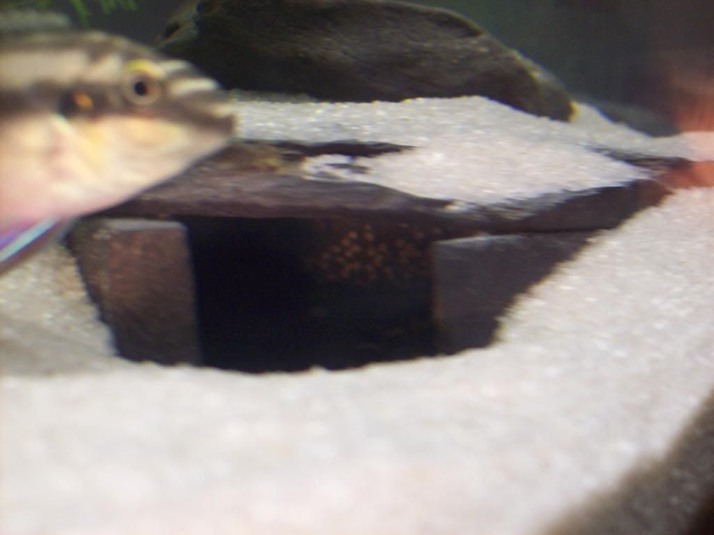 100_0567.jpg