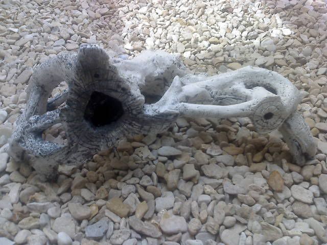 Photo00007.jpg
