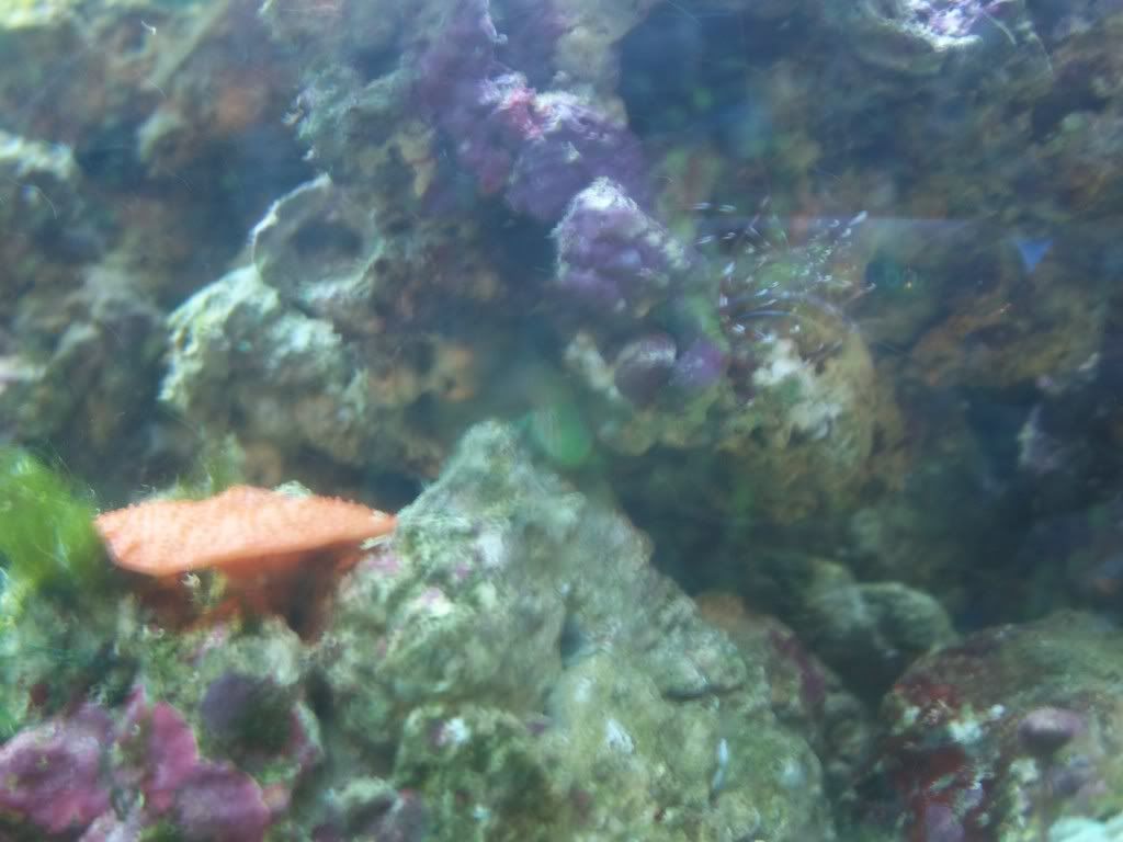 100_1264.jpg