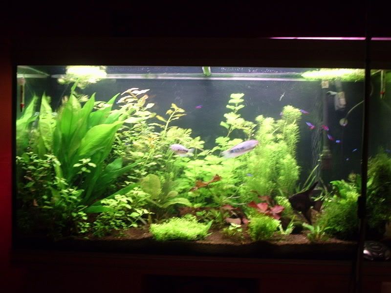 P1020089-1.jpg