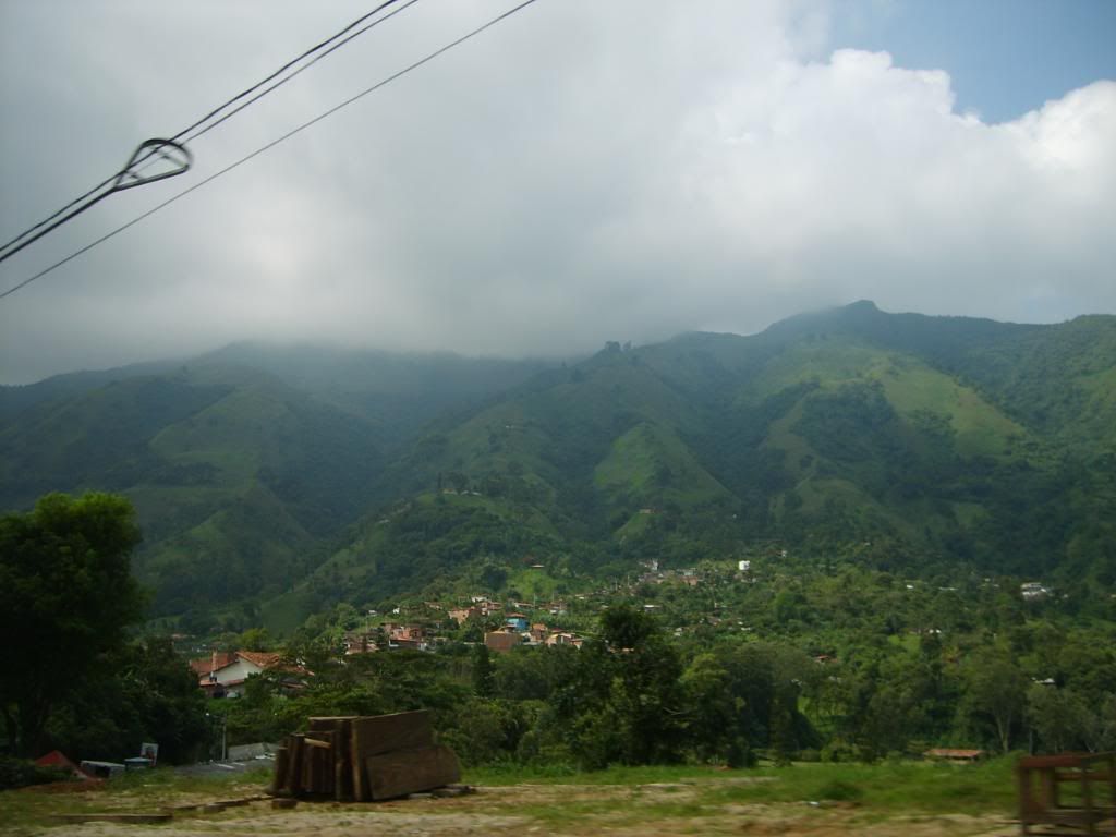 S5007788.jpg
