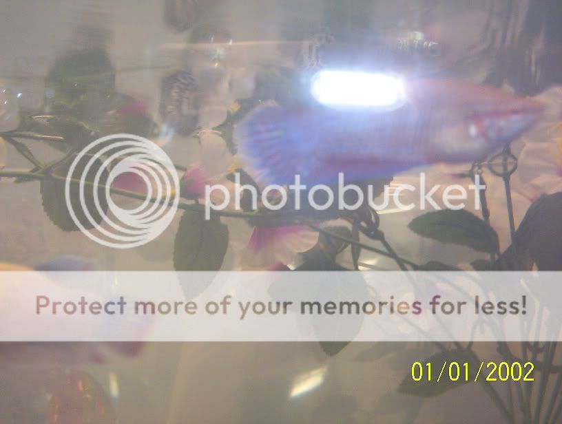 000_0839.jpg