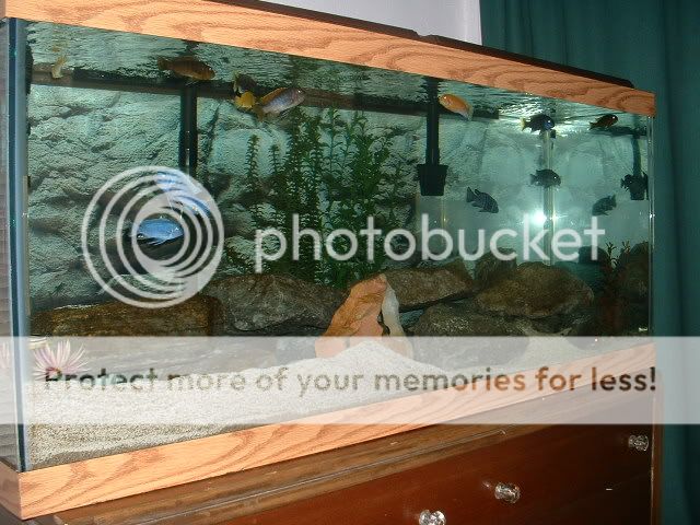fish_030.jpg