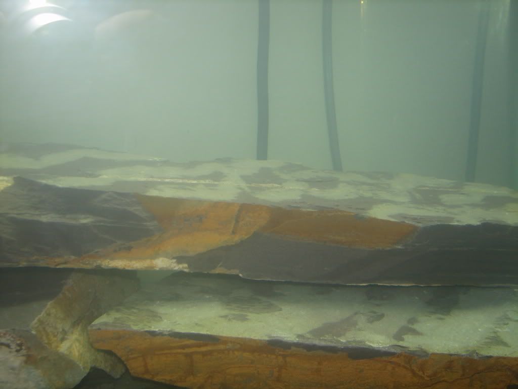 FishTank003.jpg