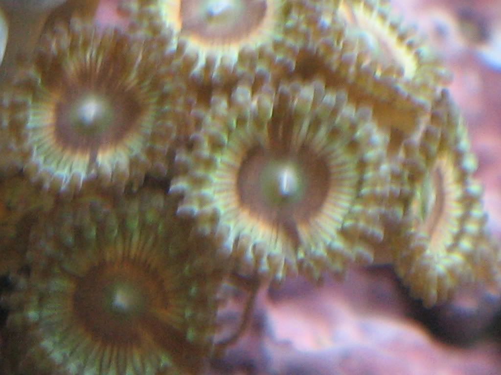 IMG_1881.jpg