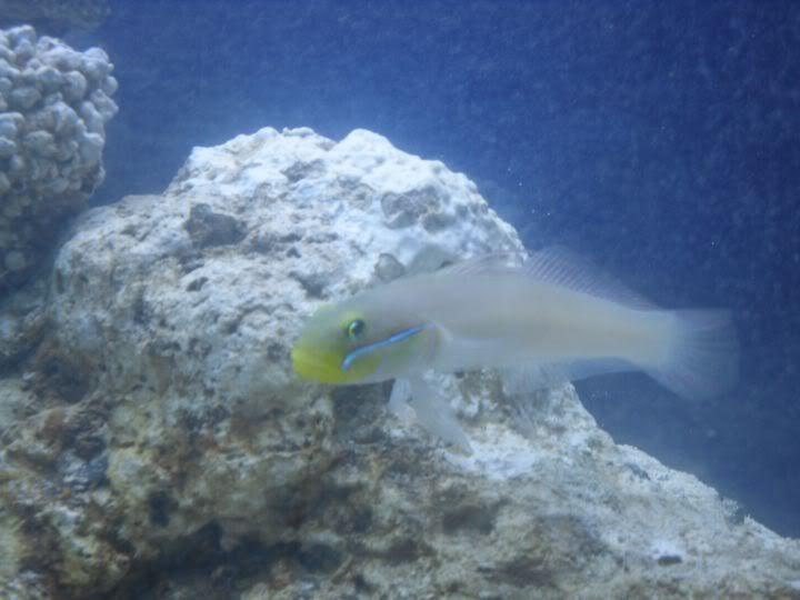 SDC10296.jpg