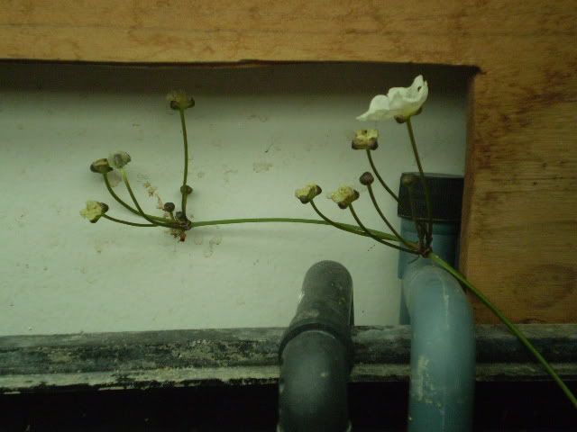 040.jpg