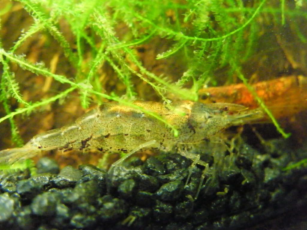 DSCF2894.jpg