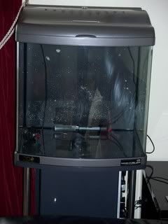 100_1027.jpg