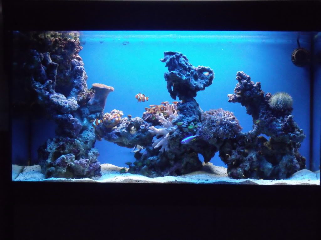 DSCF3307.jpg