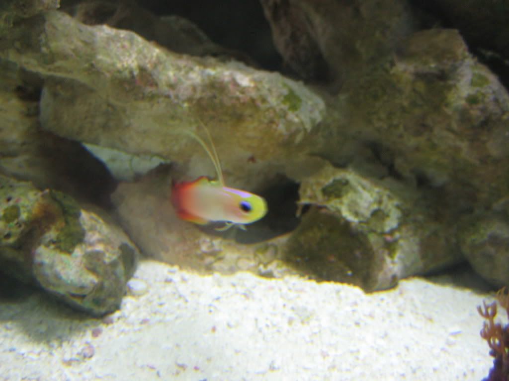 IMG_0885.jpg
