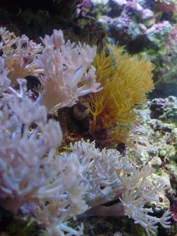 P6030260.jpg