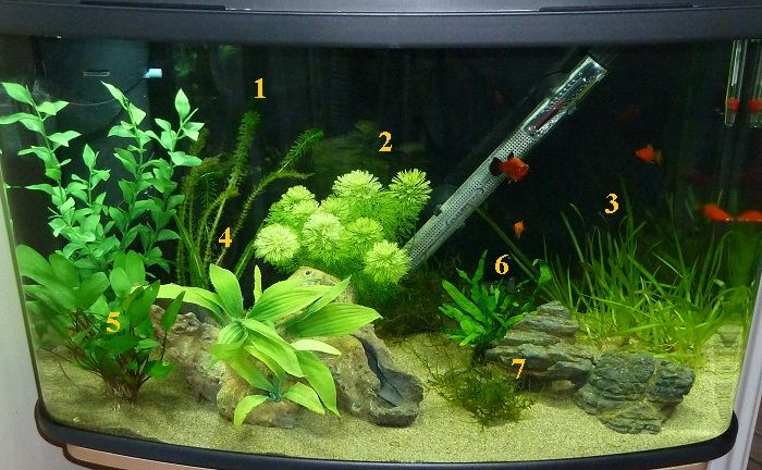 Tank04AprAnnot_zpsba9280f2.jpg