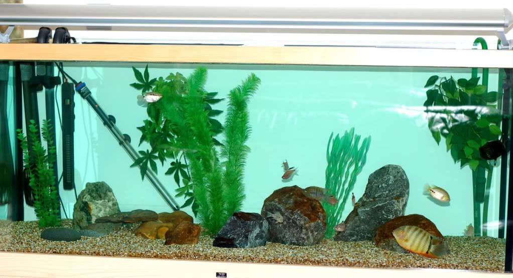 150TANK310311.jpg