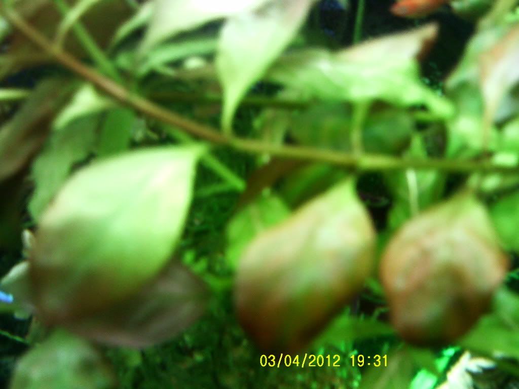 004-1.jpg