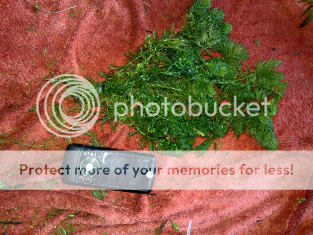290820091201.jpg
