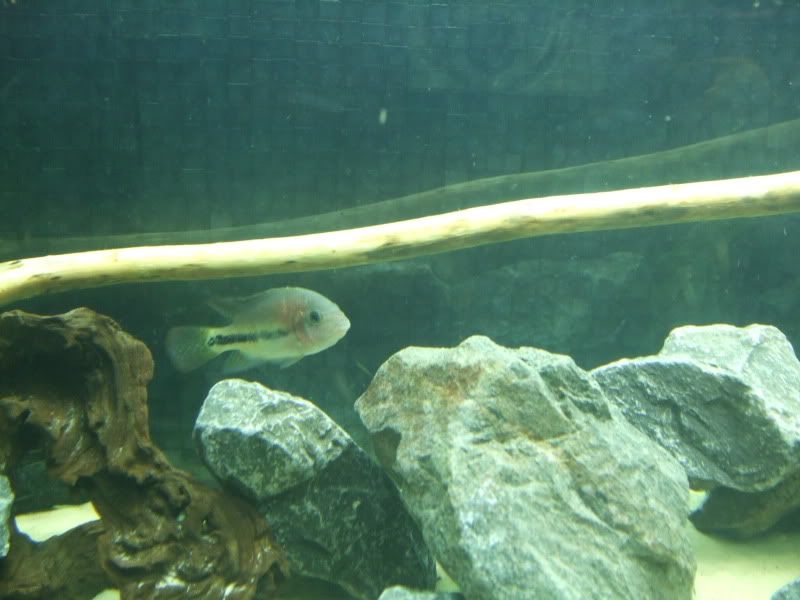 DSCF2179.jpg