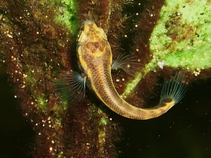 S5003008.jpg