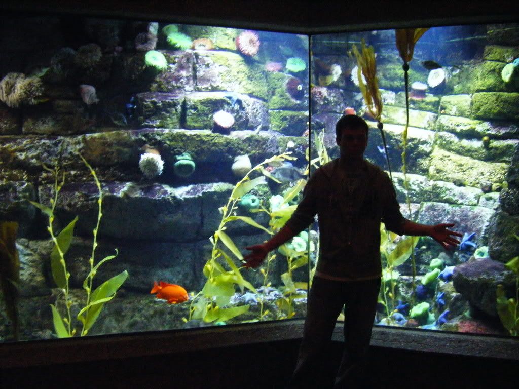 GiantKelpTank.jpg
