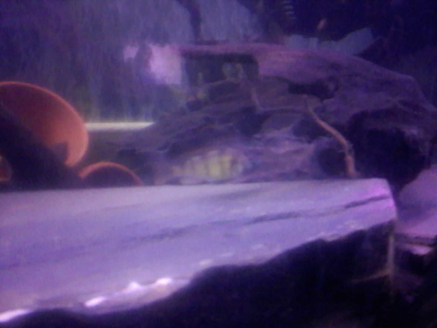 0520090112a.jpg