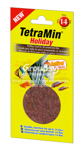 TetraMin20Holiday.png