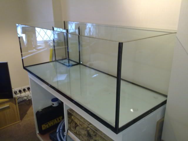 11122010336.jpg