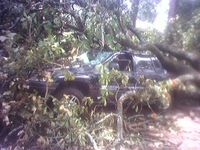 jeep3.jpg