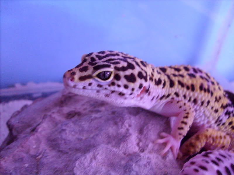 S7300038.jpg