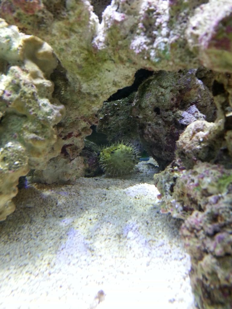 20120805_074239.jpg