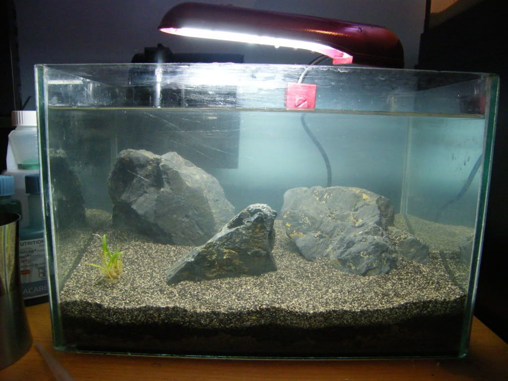 DSCF4571.jpg