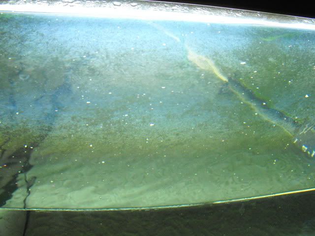 2010_0713tank0021.jpg