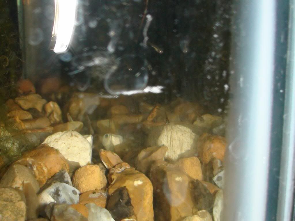 DSC00910.jpg