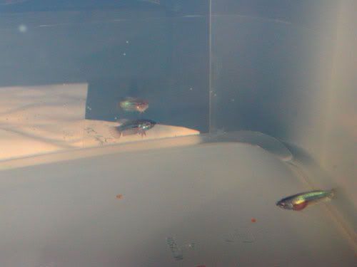 DSCN9354.jpg